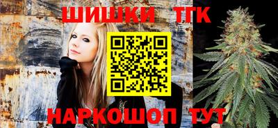 apvp Партизанск