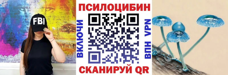 где купить наркоту Ярцево Галлюциногенные грибы Cubensis